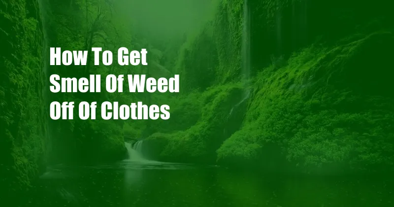 How To Get Smell Of Weed Off Of Clothes
