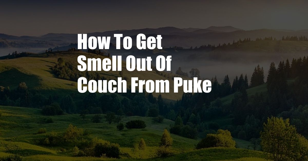 How To Get Smell Out Of Couch From Puke