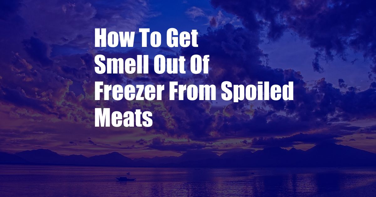 How To Get Smell Out Of Freezer From Spoiled Meats