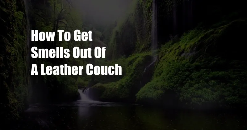 How To Get Smells Out Of A Leather Couch