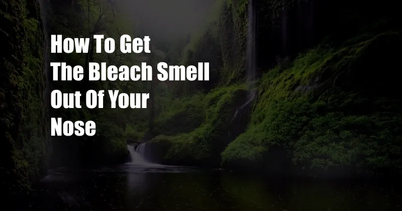 How To Get The Bleach Smell Out Of Your Nose