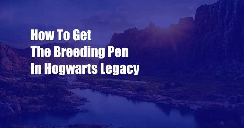 How To Get The Breeding Pen In Hogwarts Legacy