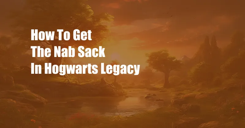 How To Get The Nab Sack In Hogwarts Legacy