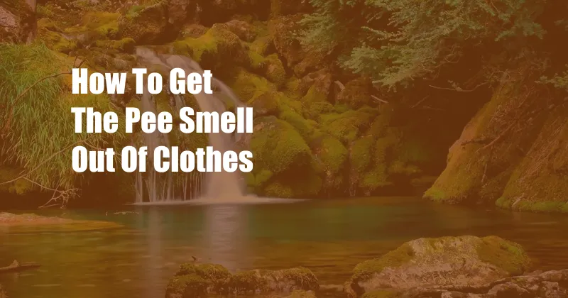 How To Get The Pee Smell Out Of Clothes