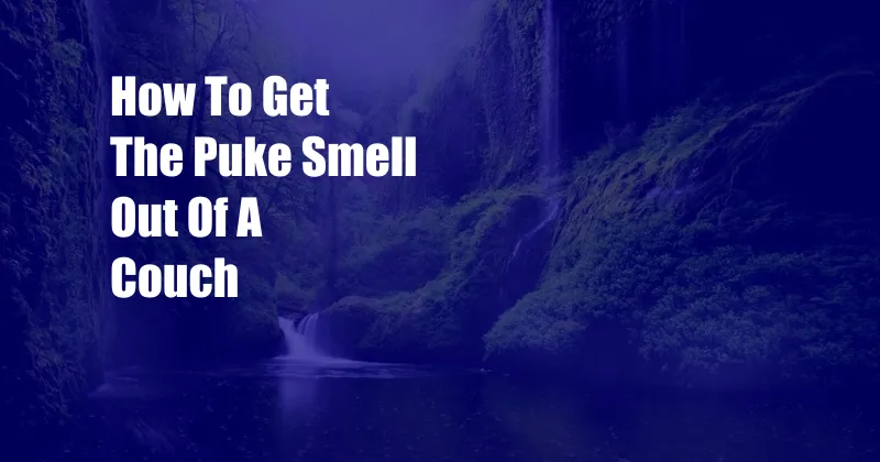 How To Get The Puke Smell Out Of A Couch