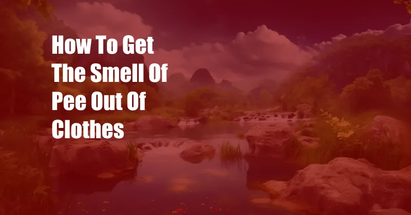 How To Get The Smell Of Pee Out Of Clothes