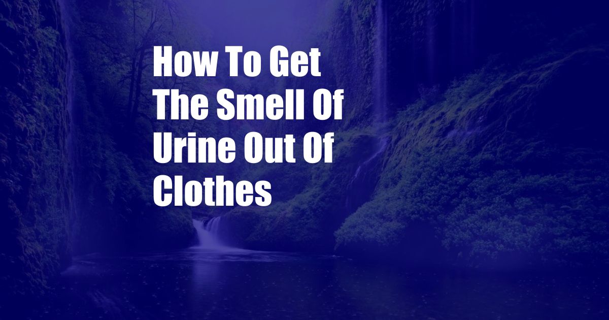 How To Get The Smell Of Urine Out Of Clothes