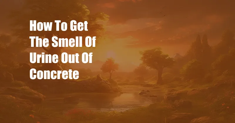 How To Get The Smell Of Urine Out Of Concrete