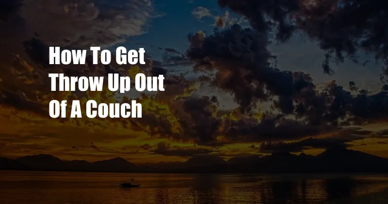 How To Get Throw Up Out Of A Couch