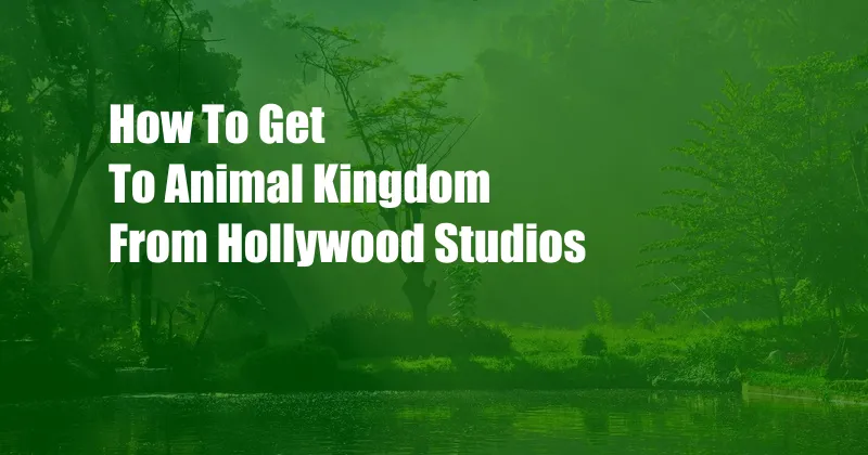 How To Get To Animal Kingdom From Hollywood Studios