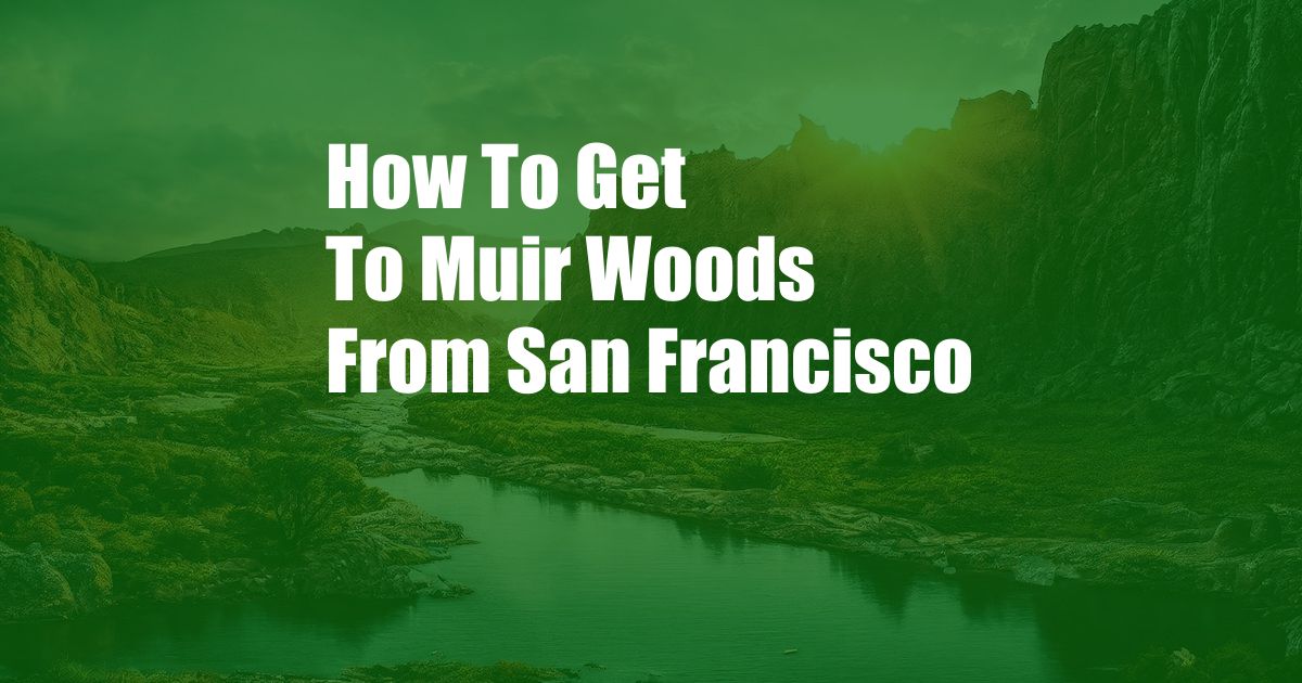 How To Get To Muir Woods From San Francisco