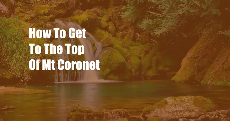 How To Get To The Top Of Mt Coronet