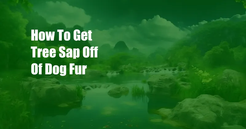 How To Get Tree Sap Off Of Dog Fur
