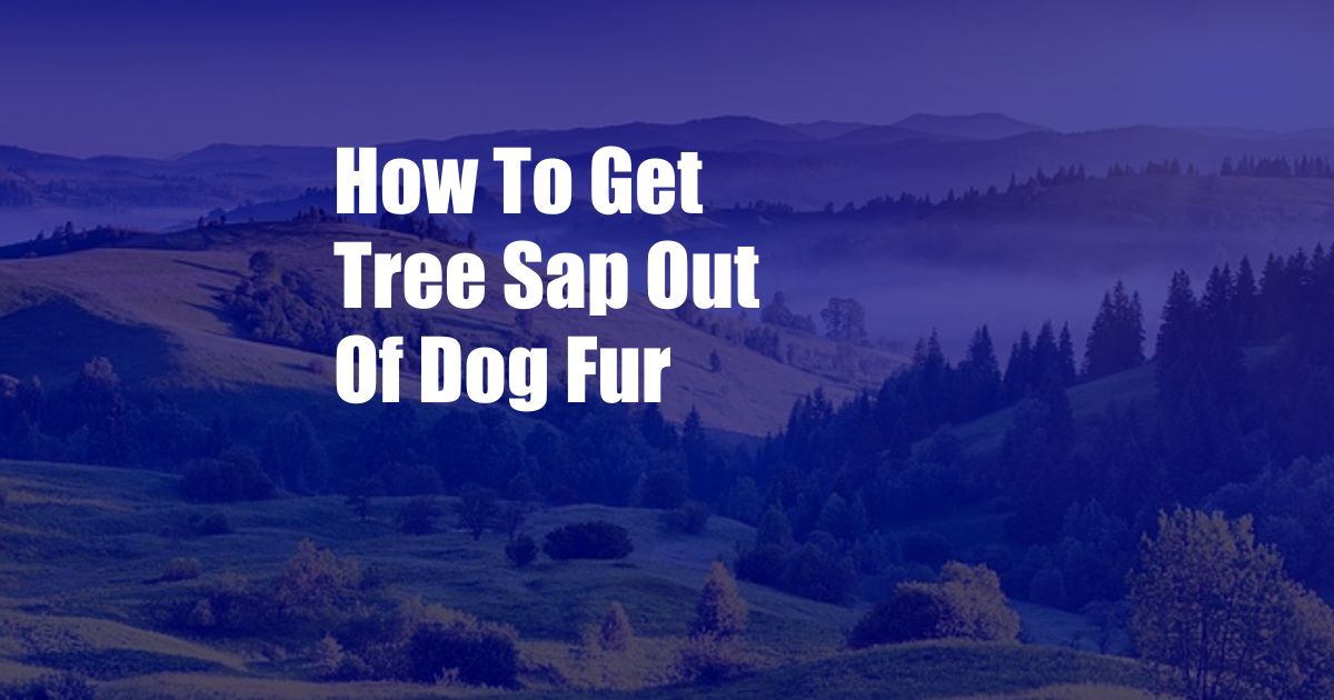 How To Get Tree Sap Out Of Dog Fur