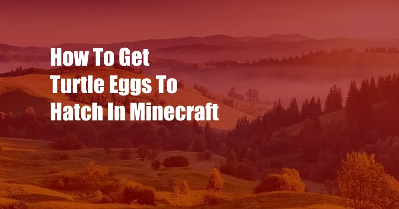 How To Get Turtle Eggs To Hatch In Minecraft