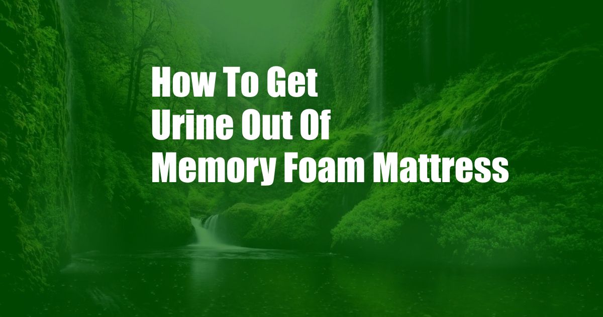 How To Get Urine Out Of Memory Foam Mattress