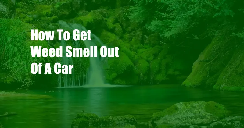 How To Get Weed Smell Out Of A Car