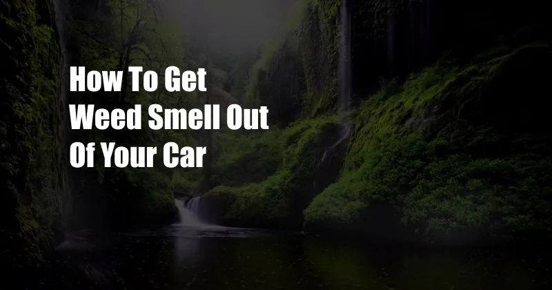 How To Get Weed Smell Out Of Your Car