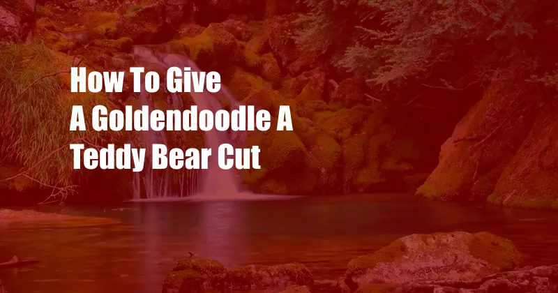 How To Give A Goldendoodle A Teddy Bear Cut