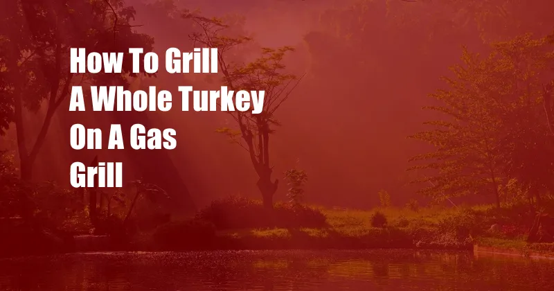 How To Grill A Whole Turkey On A Gas Grill