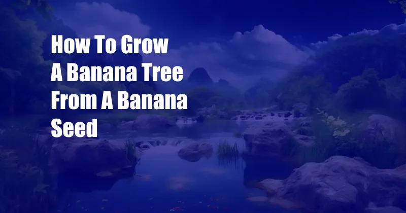 How To Grow A Banana Tree From A Banana Seed