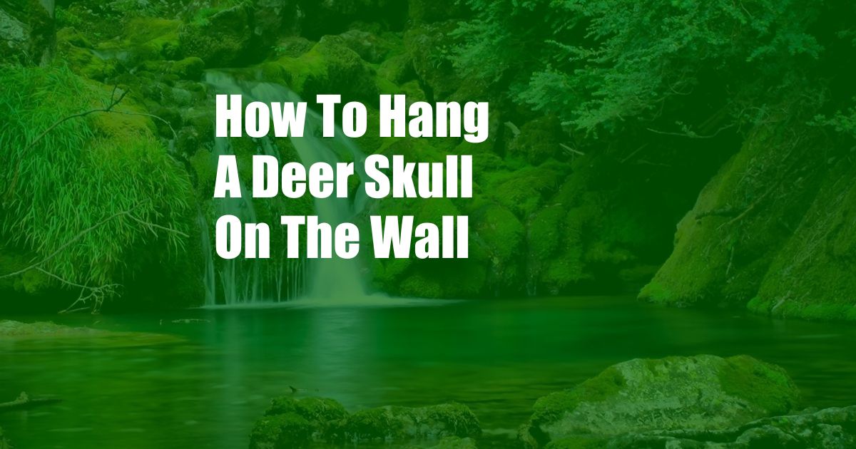 How To Hang A Deer Skull On The Wall