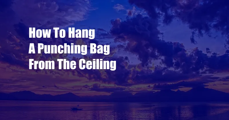 How To Hang A Punching Bag From The Ceiling