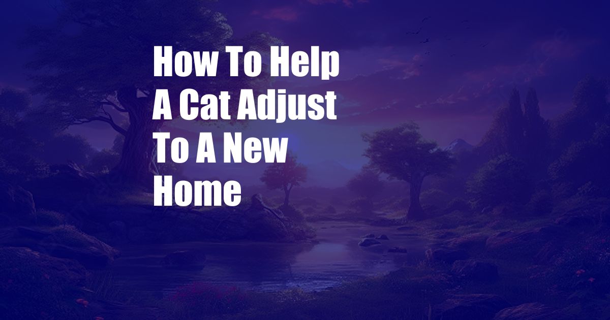 How To Help A Cat Adjust To A New Home