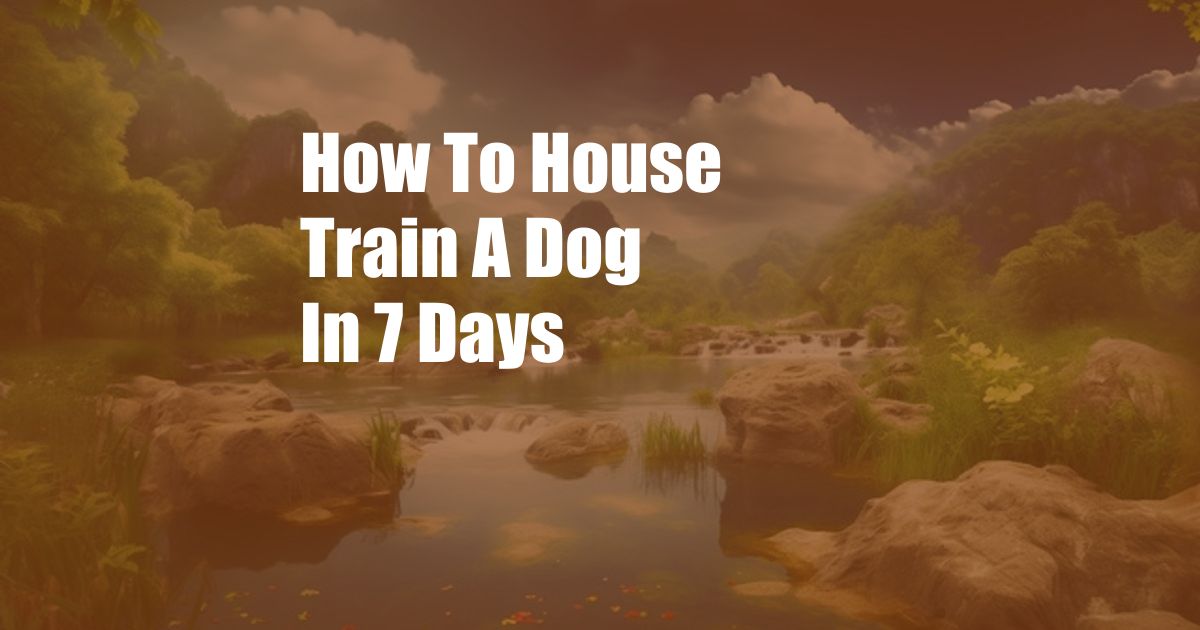 How To House Train A Dog In 7 Days