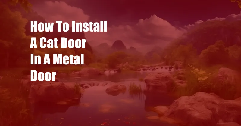 How To Install A Cat Door In A Metal Door