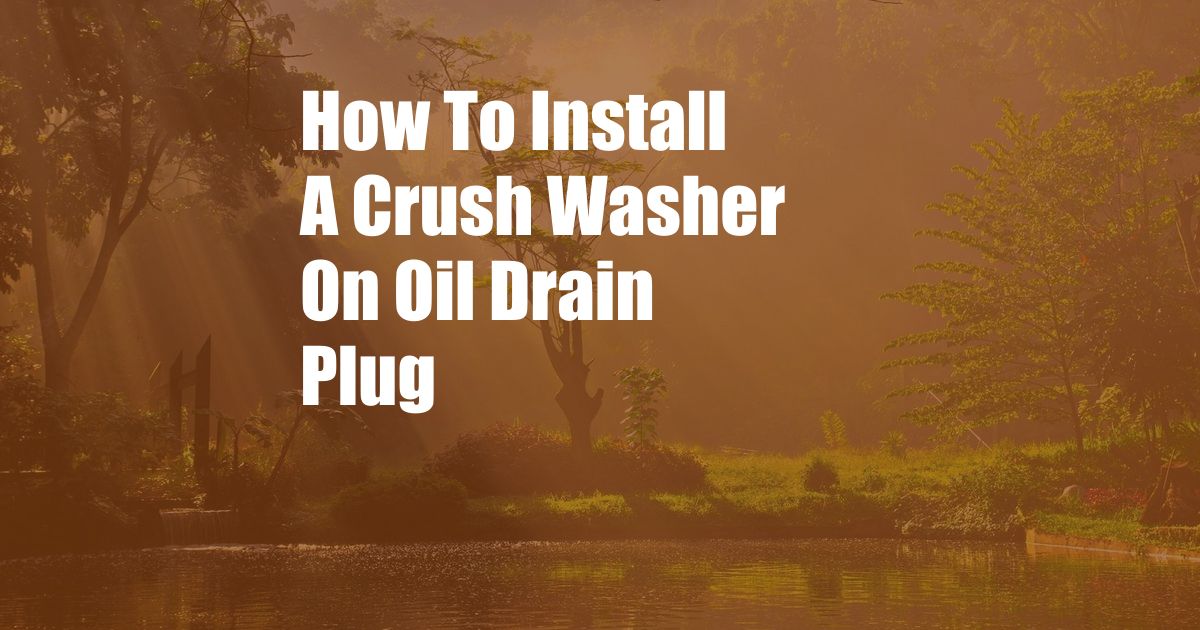 How To Install A Crush Washer On Oil Drain Plug