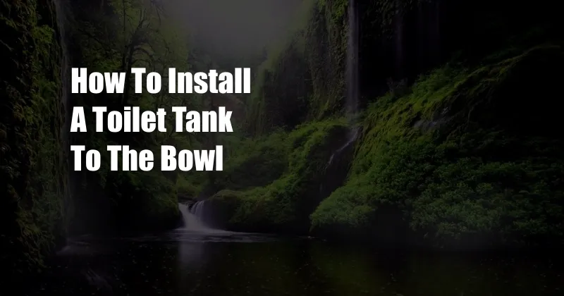 How To Install A Toilet Tank To The Bowl