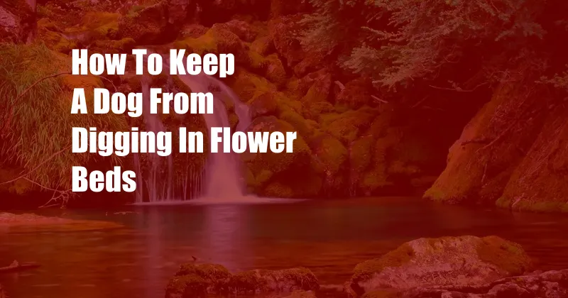 How To Keep A Dog From Digging In Flower Beds