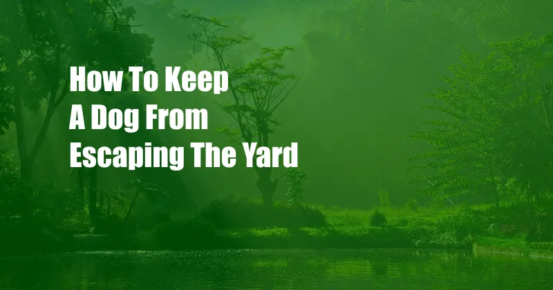 How To Keep A Dog From Escaping The Yard