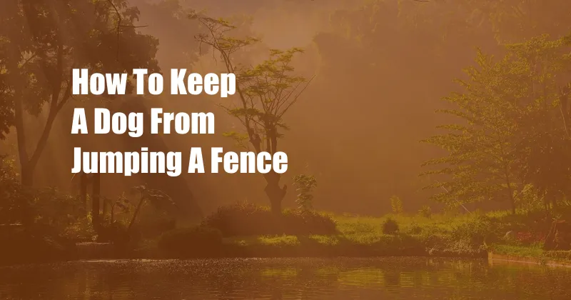 How To Keep A Dog From Jumping A Fence