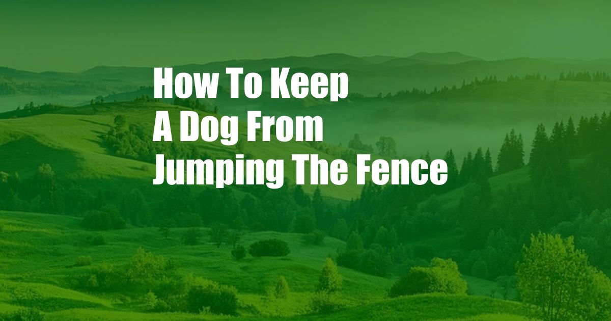How To Keep A Dog From Jumping The Fence