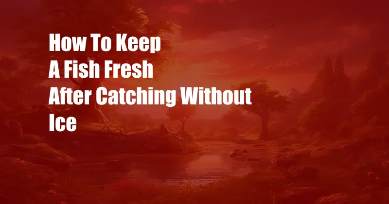 How To Keep A Fish Fresh After Catching Without Ice