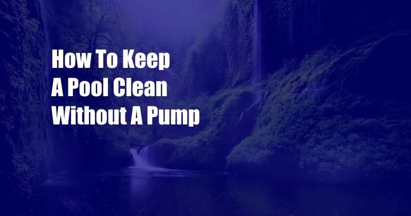 How To Keep A Pool Clean Without A Pump