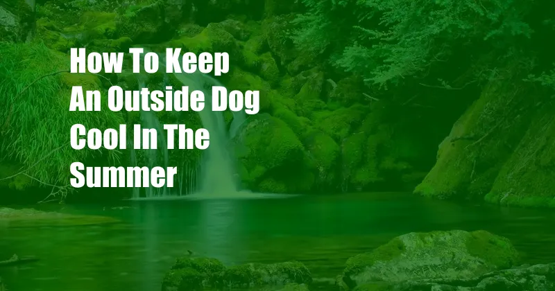 How To Keep An Outside Dog Cool In The Summer