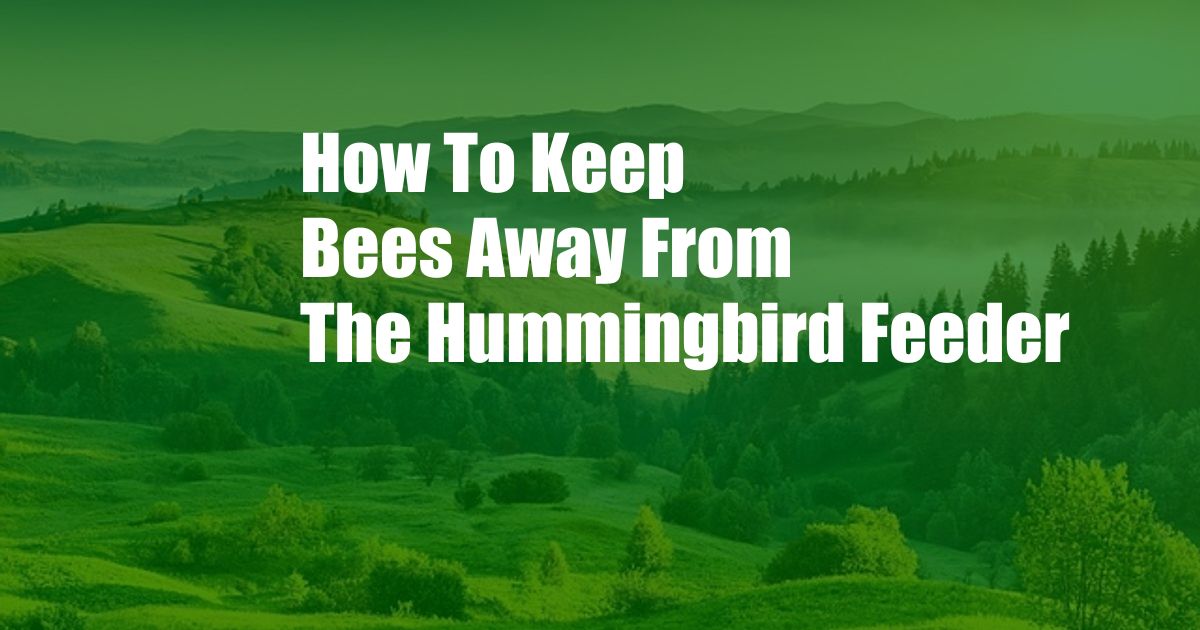 How To Keep Bees Away From The Hummingbird Feeder