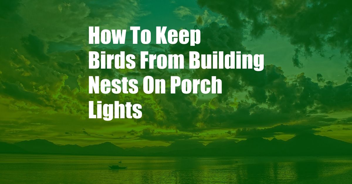 How To Keep Birds From Building Nests On Porch Lights