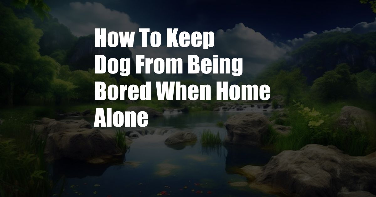 How To Keep Dog From Being Bored When Home Alone