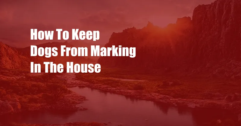 How To Keep Dogs From Marking In The House