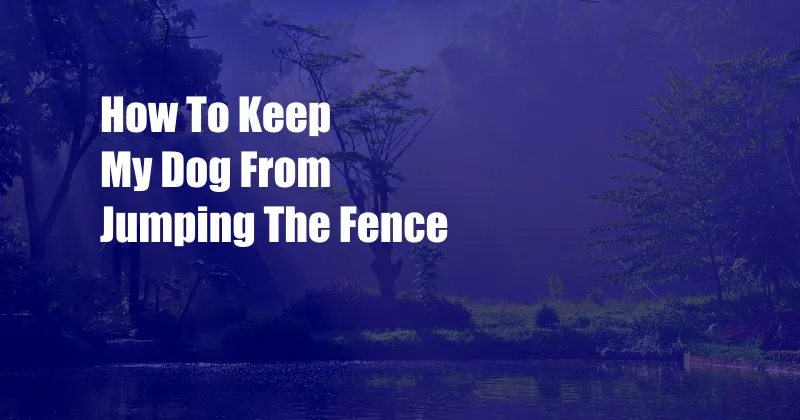 How To Keep My Dog From Jumping The Fence