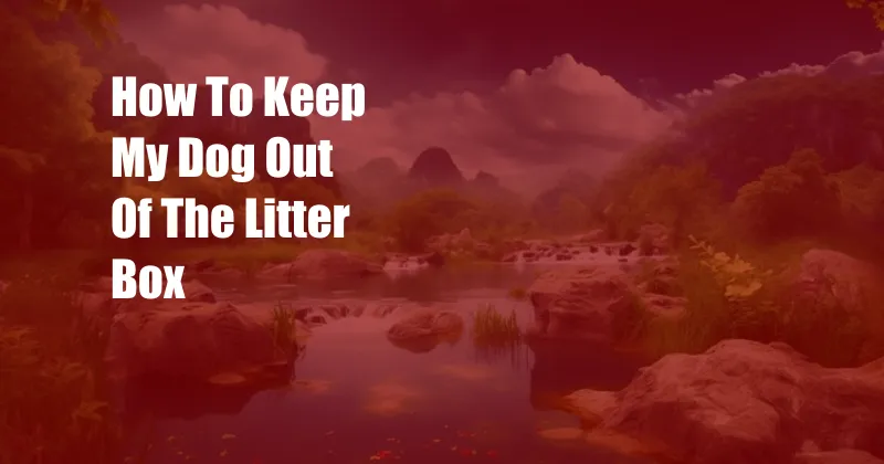 How To Keep My Dog Out Of The Litter Box