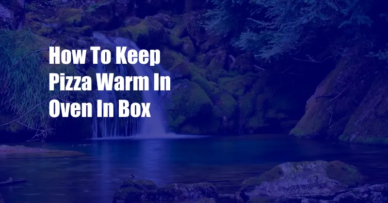 How To Keep Pizza Warm In Oven In Box