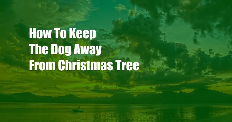 How To Keep The Dog Away From Christmas Tree