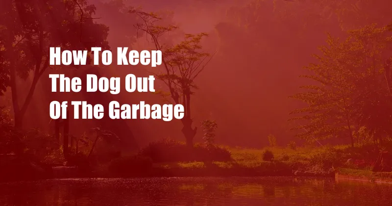 How To Keep The Dog Out Of The Garbage