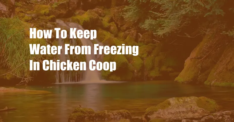 How To Keep Water From Freezing In Chicken Coop