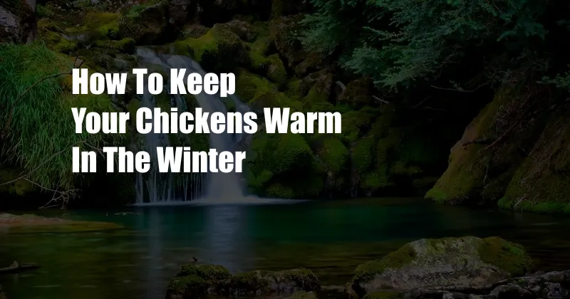 How To Keep Your Chickens Warm In The Winter